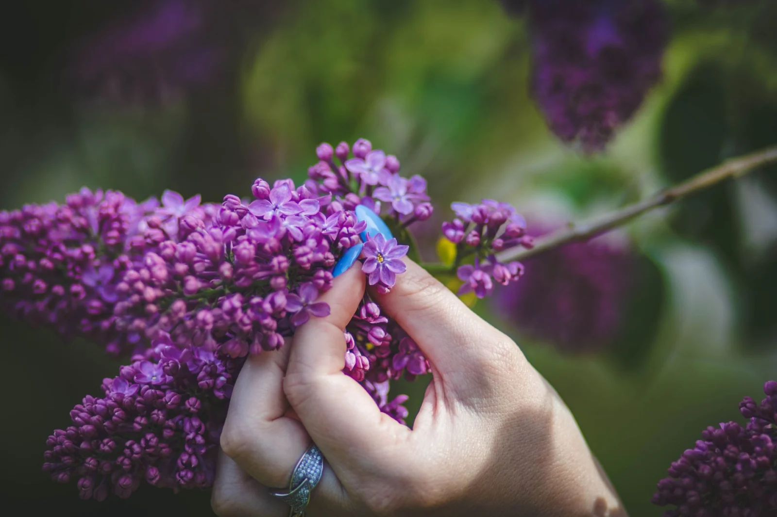 Como escolher um perfume cítrico prático para integrar sua rotina de beleza e sentir frescor o dia todo